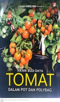 Teknik Budi Daya Tomat Dalam Pot dan Polybag